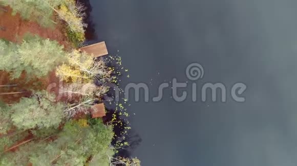 一片松林覆盖着一层淡淡的霜秋色的景色视频的预览图