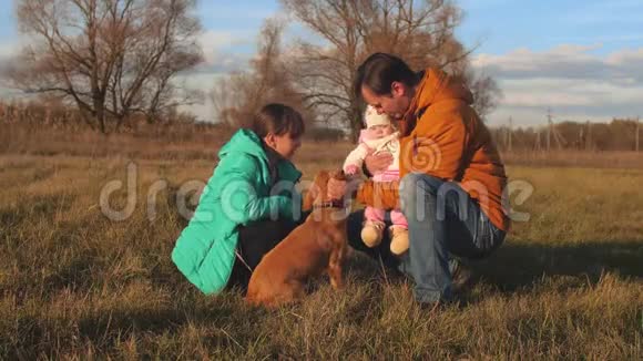 爸爸和孩子们在草地上拍拍狗视频的预览图