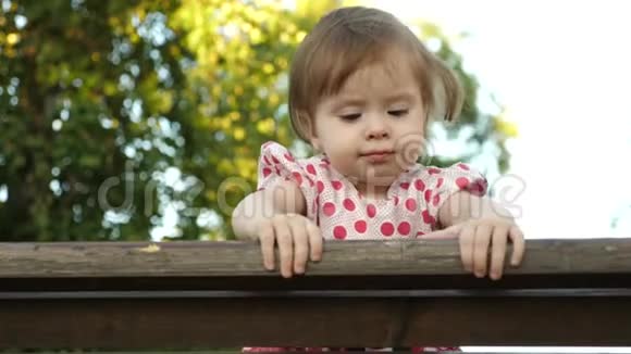 小快乐的宝宝笑着第一颗牙齿在公园的长凳上玩耍在博基的背景下视频的预览图