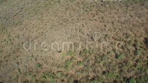 澳大利亚卡卡杜国家公园飞越自然公园俯瞰河流沼泽和水坑比拉邦视频的预览图