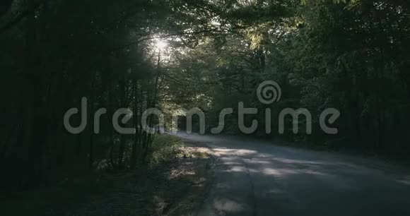 4K在阳光照射下的森林沥青道路上缓慢移动视频的预览图