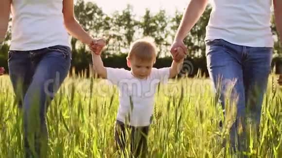 幸福家庭的概念一家三口人的特写镜头在一片小麦小穗的田野里走着视频的预览图