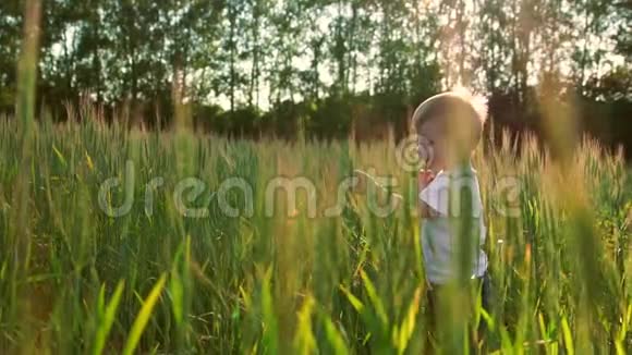 一个小男孩走进一片田野耳朵在夕阳的照耀下迎接他的母亲视频的预览图