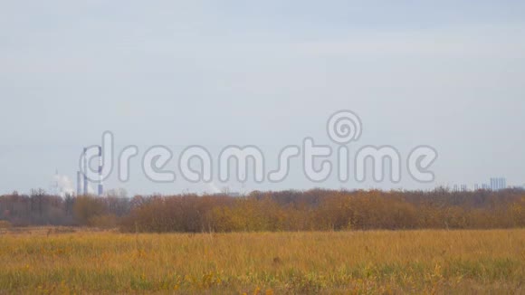 秋日草地背景下远处的烟雾视频的预览图