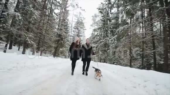 年轻漂亮的夫妇在冬天的森林里和一只狗玩男人和女人在森林里和比格一起跑步视频的预览图