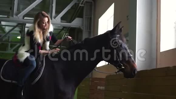 年轻女子在室内抚摸一匹马脖子一匹纯种的赛马视频的预览图