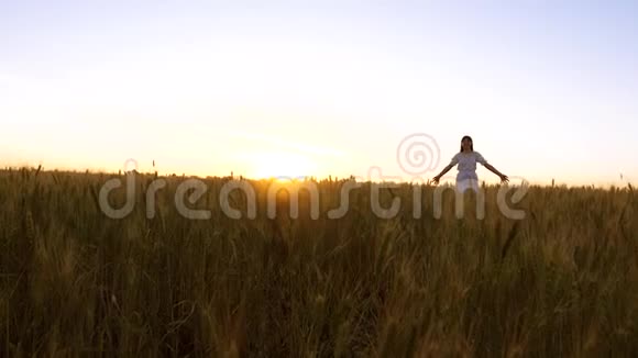 美丽的女孩跑和jimpfnd在田野与金色的小麦在夕阳的光辉和微笑慢动作视频的预览图