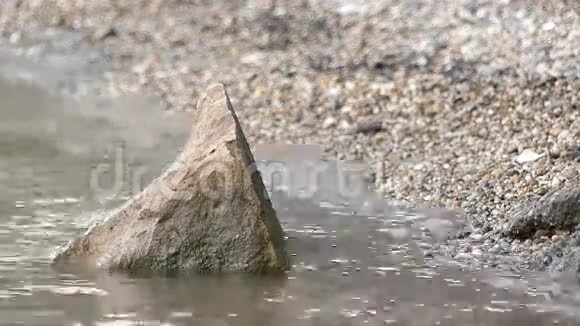 近岸的水中的岩石视频的预览图