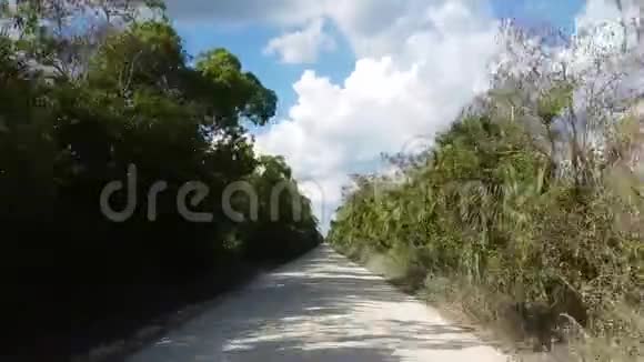 穿过沼泽国家公园的荒野在土路上行驶视频的预览图
