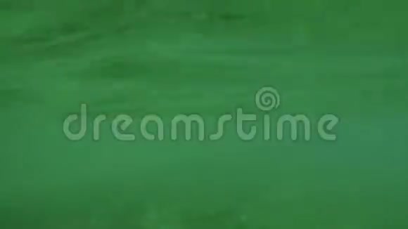 在西班牙漂亮的女孩在清澈的水面上游泳用圆顶和GoPro英雄5黑色4k视频的预览图