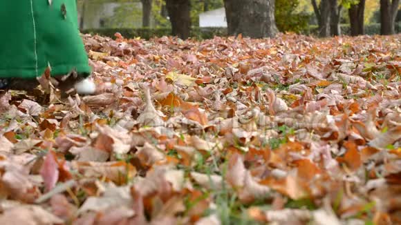 女人穿着绿色的连衣裙在秋天的公园里都扔出黄叶带鹅毛视频的预览图