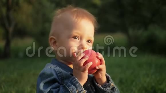 美丽的男婴在草坪上吃苹果的肖像视频的预览图