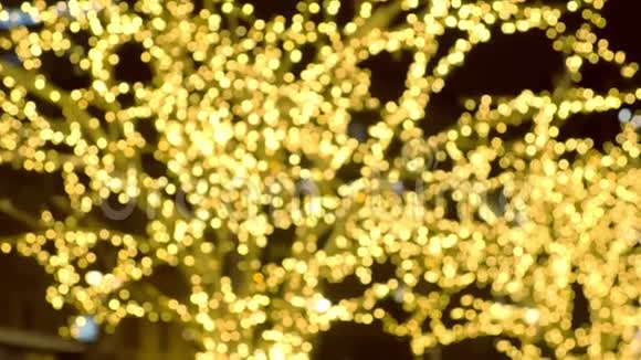 树被装饰成金灯泡的花环圣诞街灯特写镜头模糊视频的预览图
