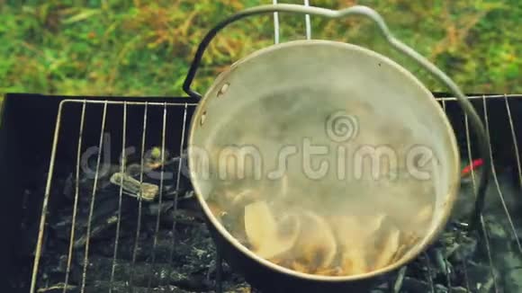 在篝火上的火盆里煮蘑菇做汤视频的预览图