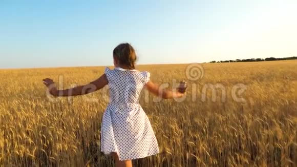 快乐的小女孩在成熟的麦子里在美丽的山谷里慢慢动作视频的预览图