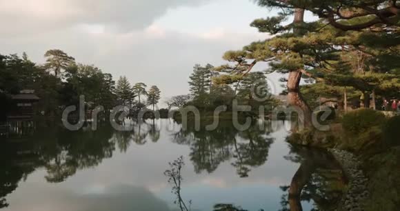 美丽的镜子就像湖树在夕阳下闪耀着金色的光芒视频的预览图
