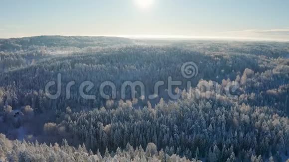 在寒冷的冬季景色中高高飞翔在雪覆盖的森林之上视频的预览图