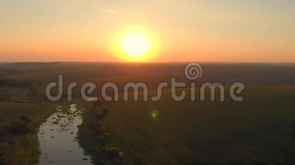 在夏日温暖的夕阳下时光飞逝飞过绿野和湖面视频的预览图