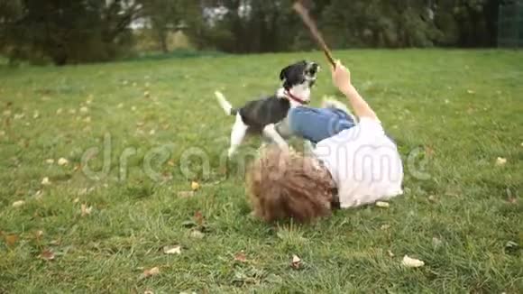 一个男孩和一只黑白相间的狗在绿草上玩耍有动物的家庭假日视频的预览图