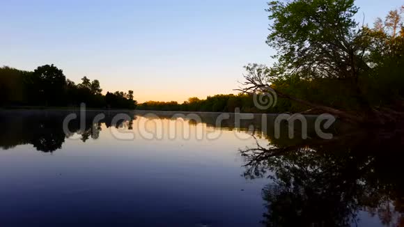 白天景区晨河场景河滨黎明时平静的流水视频的预览图