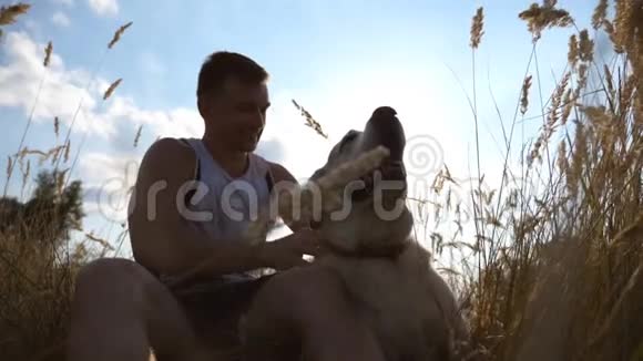 男人坐在草地上抚摸他的狗拉布拉多犬或金毛猎犬与主人坐在绿草上视频的预览图