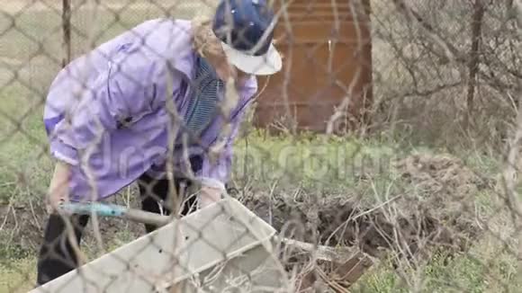 园丁女用铲子挖土倒在手推车里视频的预览图