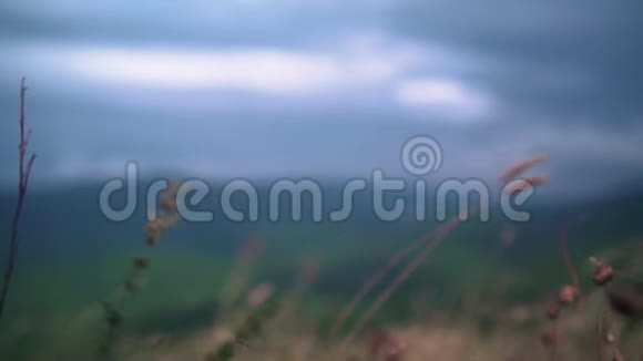 在群山和蓬松的云层的背景下野草在风中摇曳视频的预览图