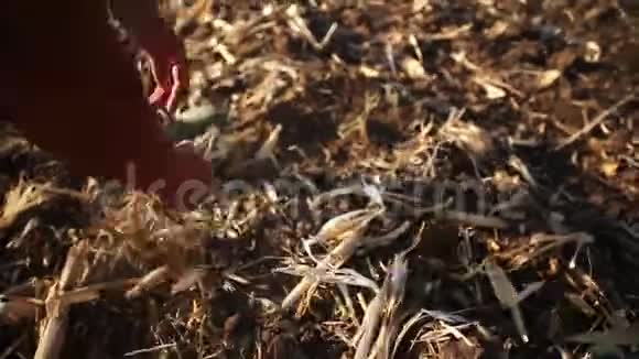 农民为下个季节准备土壤水产养殖生态养殖理念视频的预览图