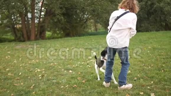 一个穿白衬衫的男孩从他的狗身上拿走一根棍子绿色草坪上的有趣游戏视频的预览图