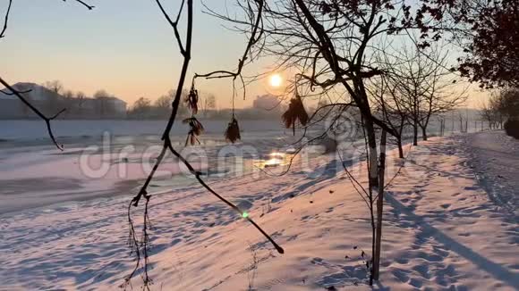 冬季干燥的枝条到处都是雪日落时间视频的预览图