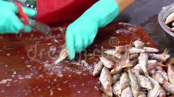 割市场中的鱼妇女手工清洗和切鲜鱼视频的预览图