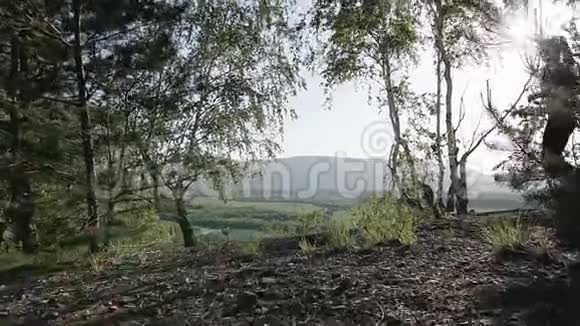 女运动员穿过森林树林真正的人女子跑步运动训练春季或夏季在山区视频的预览图