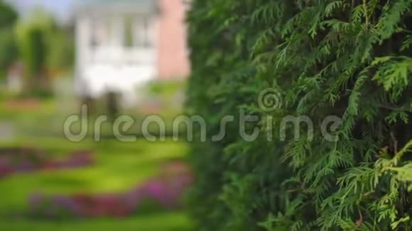 没有人的绿色英国花园有家视频的预览图