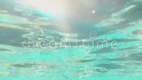 美丽的海底景色视频的预览图