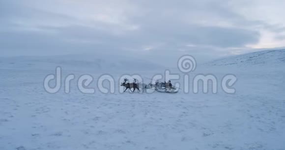 西伯利亚男子在冻土带与他美丽的驯鹿乘坐雪橇惊人的视野从无人机视频的预览图