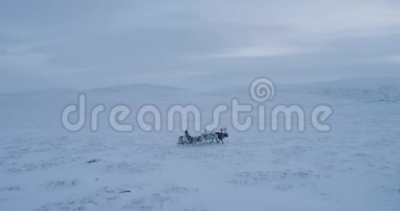 在北极的中部许多蒙古包在野外拍摄无人机的视频视频的预览图