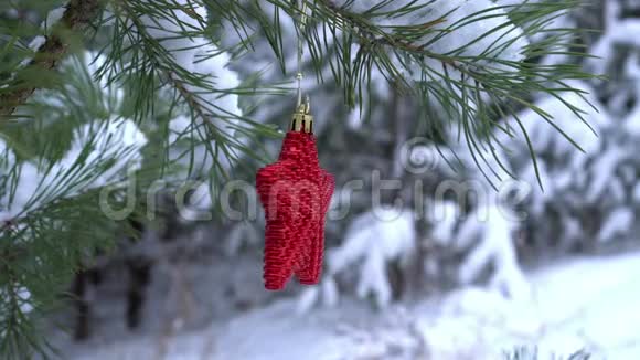 白雪覆盖的松枝上的红色圣诞星视频的预览图