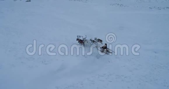 在北极人们可以乘坐雪橇上的驯鹿前往蒙古包营地鸟瞰视频的预览图