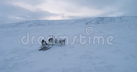 在西伯利亚的冬天一个穿着毛皮的人和驯鹿在田野的中间搭车4k视频的预览图