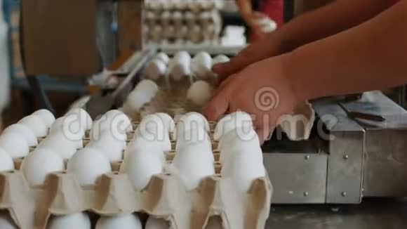 鸡蛋农场的员工用手把鸡蛋装进纸板托盘视频的预览图