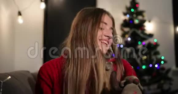 新年庆典穿着红色毛衣的迷人女人坐在圣诞树前的沙发上微笑着看上去笔直视频的预览图