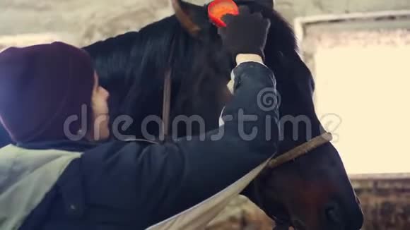 在马厩里一个女人照顾一匹纯种的黑马她用特殊的刷子刷马毛梳他的头发视频的预览图