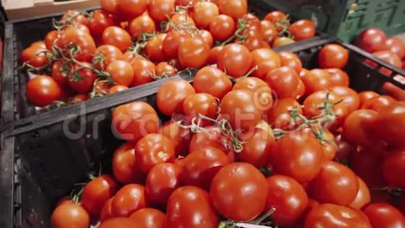 红色新鲜有机西红柿在超市货架上的篮子里视频的预览图