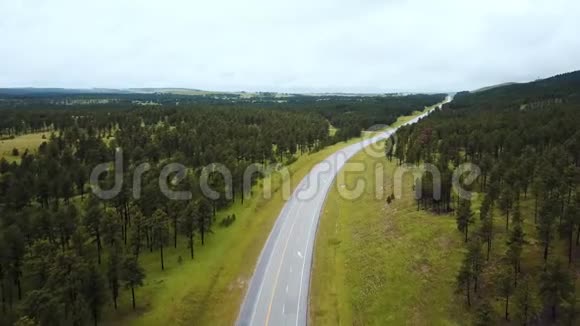 无人机飞过空旷的公路路中间美丽的野生绿树林山白色的汽车沿着行驶视频的预览图