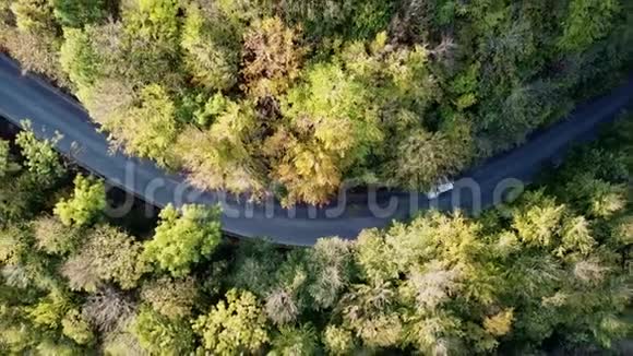 空中飞行在秋天绿树之间的道路上秋色绿色森林的空中飞行和汽车行驶视频的预览图