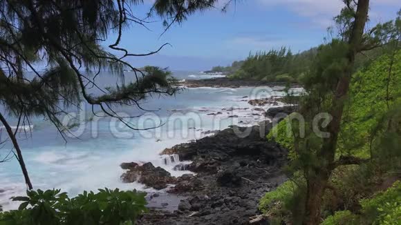 在夏日夏威夷崎岖而孤立的海岸线视频的预览图