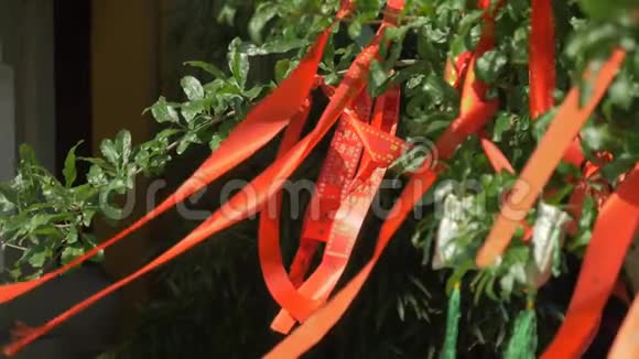 中国寺庙花园一棵树上飘来的红色愿望条纹丝带视频的预览图