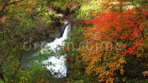 著名的纳鲁科峡谷的秋色彩叶视频的预览图