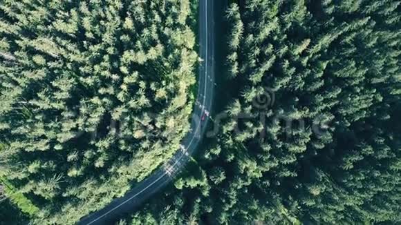 欧洲森林和一辆红色汽车在路上超速行驶视频的预览图
