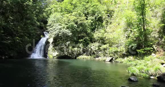 玛特里亚瀑布在绿林中的大岛大岛大岛晴天大射视频的预览图